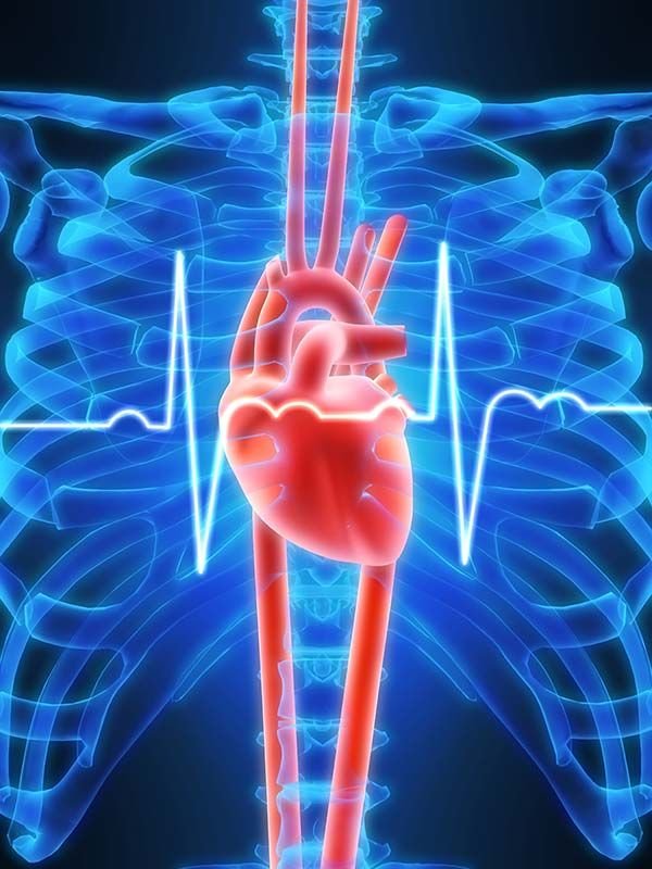 Características de la enfermedad cardiovascular Carla Sánchez nutricionista